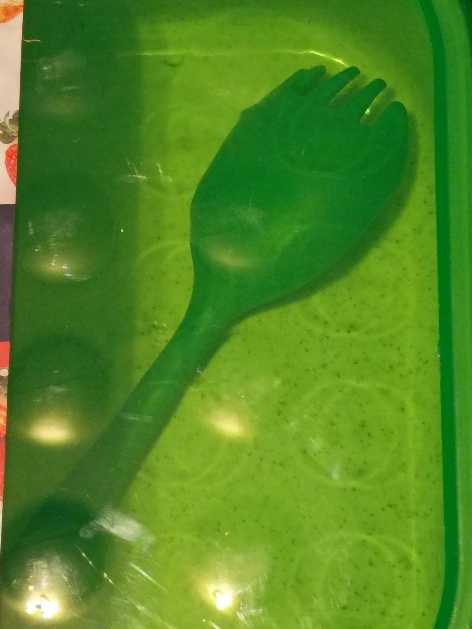 Fresh 360 Food Container - Doylestreasures