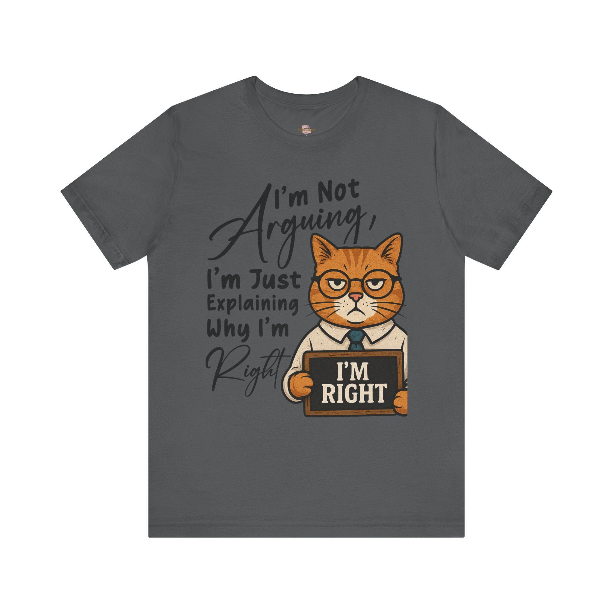 Funny Cat Quote Tee, I'm Right cat shirt - Doylestreasures