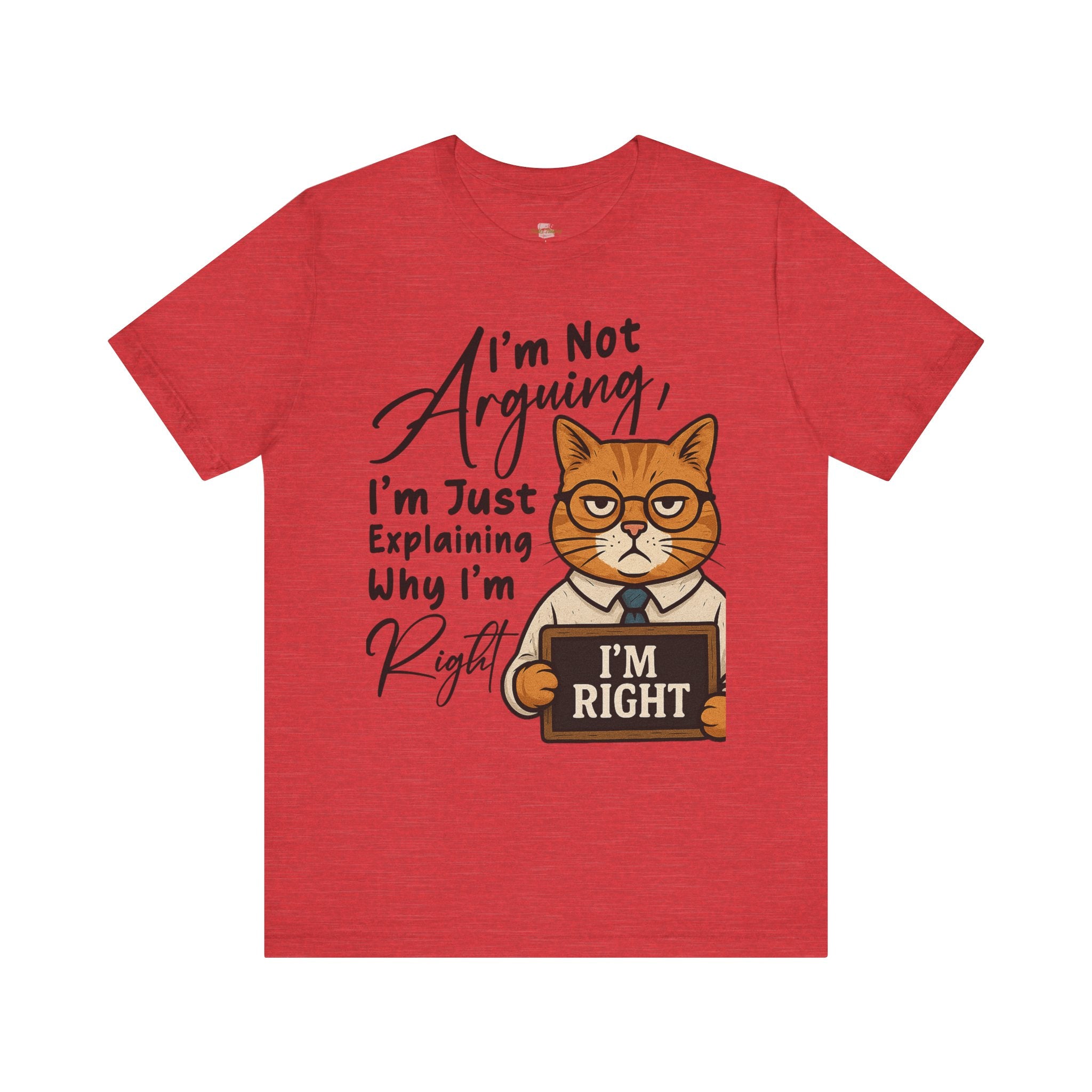 Funny Cat Quote Tee, I'm Right cat shirt - Doylestreasures