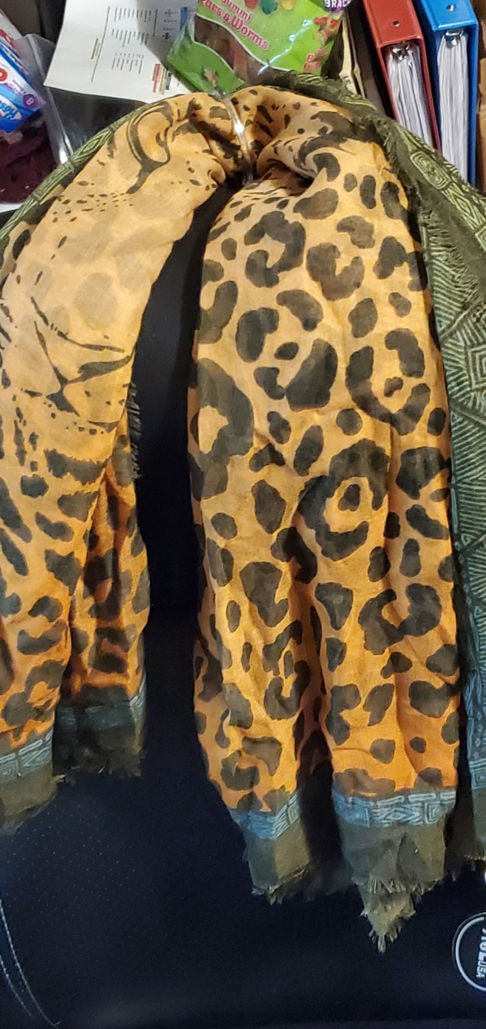 Leopard Print Scarf - Doylestreasures